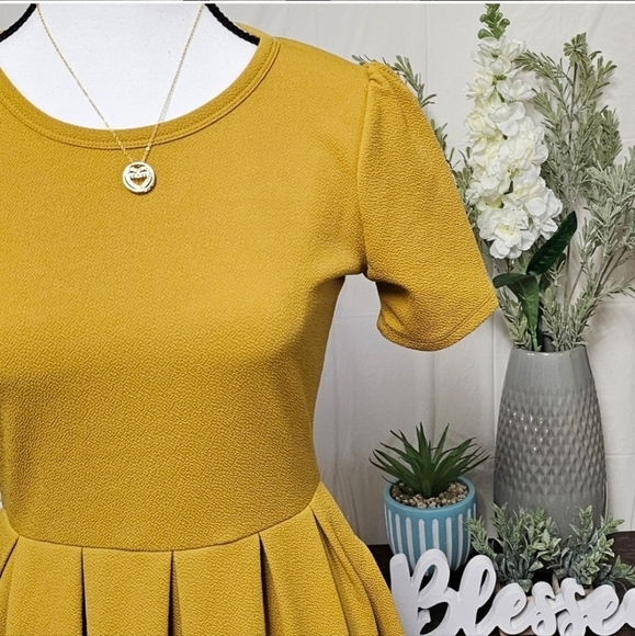 LuLaRoe | TWO for ONE | AMELIA KNIT BACK ZIP FLAIR DRESS - Picture 7 of 15